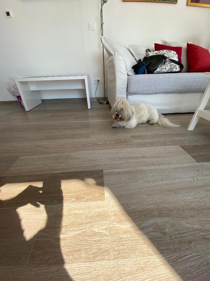 Pearl Of Adriatic Appartement *